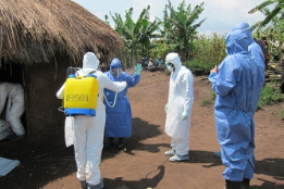 ابولا Ebola virus